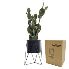This wrought iron, starburst design is both durable and stylish and is fitting for both indoor and outdoor use. Baffect Metal Plant Stand With Plant Pot Iron Plant Pot Holder Plant Pot Stand For Garden Home Table Office Decor Indoor Black Buy Online In Bahamas At Bahamas Desertcart Com Productid 74283793