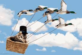 Maybe you would like to learn more about one of these? Flying Chair Gifs Get The Best Gif On Gifer