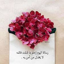 رسالة اليوم فولو كتب صمت صمود حلم صبر ماذا تقرأ حكمة وجع حقيقة اكسبلور القراءة تفاؤل شموخ عتاب حنين اقرأ الحي Heart Ring Rings
