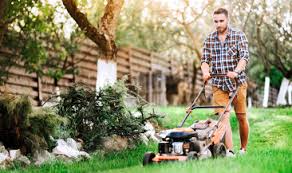 We are highly specialized in lawn mowing. Lawn Mowing Service Grass Cutting Taskrabbit