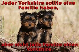 Yorkshire Zitate Und Sprüche