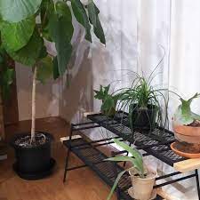 アイディア続々 dodの新製品テキーラテーブルのカスタムっぷりが面白いぞ camp hack キャンプハック テキーラ テーブル ガーデニング