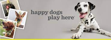 To read reviews of the business, print directions, and even get a coupon, visit the bringfido local resources wagging tails pet resort has received a rating of 5.0 out of 5 bones by 1 canine critic on bringfido. Wagging Tails Pet Resort Home Facebook