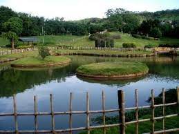 Pin On Japanese Gardens