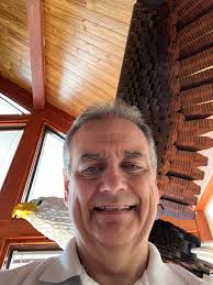 Impressive LEGO Angel Wings Creation