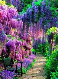 Pin By Shootie On Bella Vita Beautiful Gardens Beautiful Nature Nature