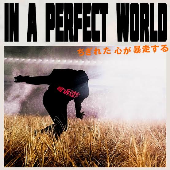 IN A PERFECT WORLD : r/Yedits