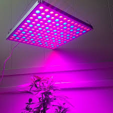 Also, the manufacturer has bigger models, which allow you to cover a larger area of plants. 45w Led Germination Hieght Rollitup