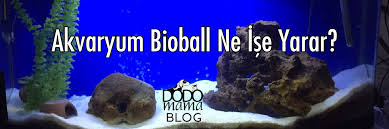 Akvaryum Bioball Ne Ise Yarar