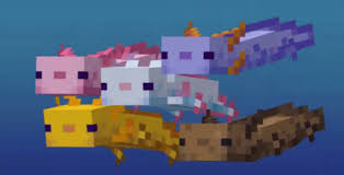 Otherwise, it inherits the color of one parent at random. Minecraft Caves Cliffs How To Spawn Axolotl In Your Seed Gameranx