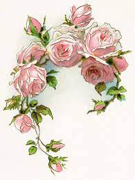 Vintage Pink Rose Clipart Clipart Flower Illustration Vintage Flowers Illustration Vintage Flowers