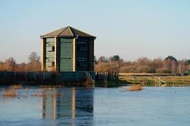 Maybe you would like to learn more about one of these? Naturparadies London Wetland Centre
