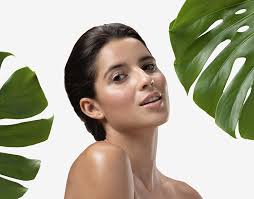 About Segals Solutions