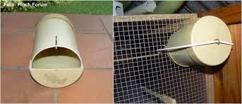 Cara membuat sangkar lovebird sebelum anda membuat kandang lovebird, tentukan terlebih dahulu ukuran kandang yang dibutuhkan. Membuat Tempat Sarang Burung Dari Pipa Pvc Batang Palem Kardus Dan Tempurung Kelapa Om Kicau
