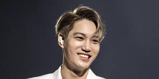 Name, kim jongin (김종인) alias kai (카이). Kim Jongin Age Height Girlfriend Family Net Worth Wiki Kpop Wiki