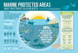 Increased Protection Would Provide Big Boost To The Ocean Economy Wwf Climate Change Infographic Infographic Ocean