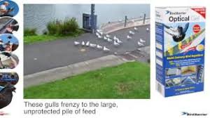 Bird free optical gel е изключително удобен за поставяне, той може да бъде ползван както на открито, така и на закрито. Bird Barrier Optical Gel In Action Youtube