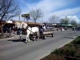 Sheridan lake is stocked with 300,000 rainbow trout, just 40 minutes away. 2015 Little Britches Rodeo Parade Downtown 100 Mile House Bc Youtube