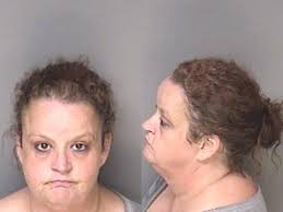 Christy Sisk Larceny After Breaking And Or Entering Possess Methamphetamine 