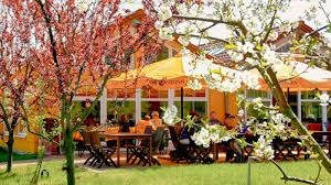 Restaurant Mit See Terrasse Cafe Im Sanddorn Garten Petzow