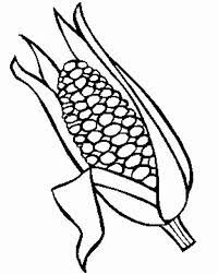 It is a very clean transparent background image and its resolution is 940x661 , please mark the image source when quoting it. Corn Stalk Coloring Page Clip Art Library Coloring Home