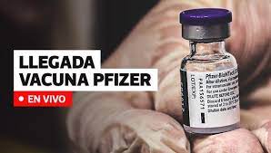 Pfizer, inc., y biontech tipo de vacuna: Vacunas Pfizer Llego Al Peru El Primer Lote De 50 Mil Vacunas De Pfizer Vacuna Covid 19 Gobierno Minsa Coronavirus Lima El Comercio Peru