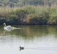 Balade aux Salins du Lion depuis Vitrolles