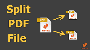 How To Split Pdf File Into Multiple Pdf Files Using Nitro Pro Nitro Pro Nitro How To Split