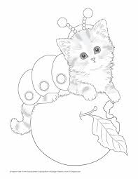 Search through 623,989 free printable colorings at getcolorings. Cat For Colouring Cute Coloring Pages Cat Coloring Page Animal Coloring Pages