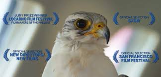 Karan lives a wealthy lifestyle in india, while his parents reside in the united states of america. Official Trailer For The Challenge Doc About Amateur Falconry In Qatar Firstshowing Net