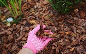 Best Mulch For Dogs Our Top 7 Picks 2021