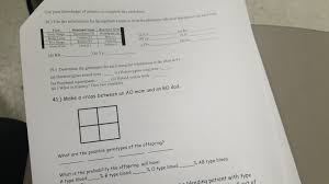 We tried to locate some good of genetics worksheet answer key or spongebob genetics worksheet answers kidz activities image to suit your needs. Solved Use Your Knowledge Of Genetics To Complete This Wo Chegg Com