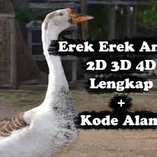 Kode alam dan erek erek ulat bulu 4d : Erek Erek Angsa Di Buku Mimpi 2d 3d 4d Dan Kode Alam Di 2021 Angsa