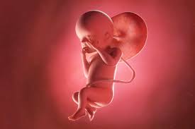 A woman goes through it alone and i believe that's but sharran refused because she 'didn't want her baby to come out in pieces' and instead opted to be induced and give birth naturally on april 23, 173. Pregnancy At 23 Weeks Being The Parent