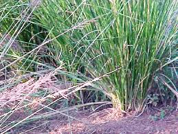 Including travel and greeting and emergencies. à¤µ à¤³ Definition And Synonyms Of à¤µ à¤³ In The Marathi Dictionary