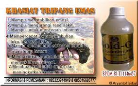 Jeli gamat dapat diberikan kepada ibu pasca melahirkan untuk memulihkan kondisi luka pasca bersalin. Jelly Gamat Gold G Obat Anak Ibu Hamil Posts Facebook
