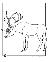 1) if you have javascript enabled you can click the print link in the top half of the page and it will automatically print the coloring page only and ignore the advertising and navigation at the top of the page. Buck And Doe Coloring Pages Coloring Home