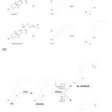 And for all you kids out there. Pdf The Pleiomorphic Actions Of Vitamin D And Its Importance For Children