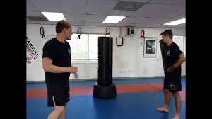 Check spelling or type a new query. 5 Best Free Standing Heavy Bags For Home Boxing Kickboxing