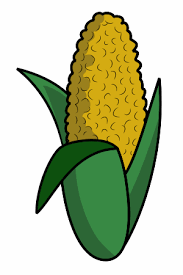 Gently place ears of corn into boiling water, cover the pot, turn off the heat, and let the corn cook in the hot water until tender, about 10 minutes. How To Draw Cartoon Corn Ready To Be Eaten
