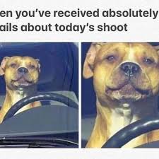 Movie Set Memes Moviesetmemesofficial Instagram Photos And Videos Funny Pictures Seriously Funny Dog Memes