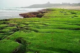 Weitere ideen zu reisen, landschaft, taipeh. Landschaft Natur Feld Rasen Pflanze Laomei Laomei Grun Shicao Alter Steintrog Taiwan New Taipei City Shimen Bereich Pikist