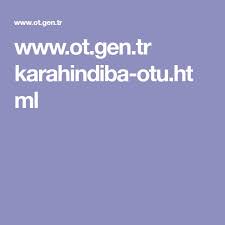 Www Ot Gen Tr Karahindiba Otu Html Karahindiba Otlar Sifali Otlar