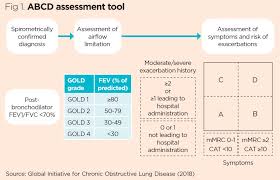 Image result for COPD Exacerbation Decision Tool