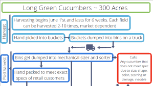 Cucumber Harvest And Processing Flow Chart 2017 Center