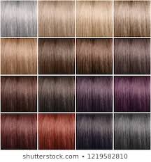 Hair Color Chart Images Stock Photos Vectors Shutterstock