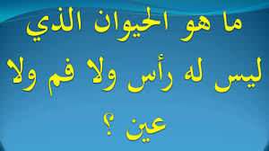 ما هو الحيوان الذي ليس له رأس ولا فم ولا عين Youtube