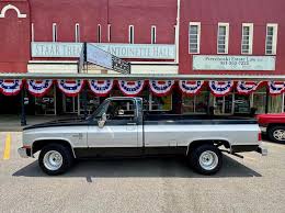 Image result for Radiant Silver 1984 Fleet