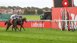 Racing Post - News update