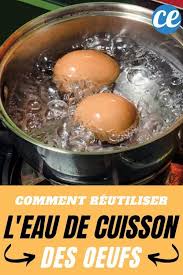 Vos Eaux De Cuisson Ont De La Valeur Voici Comment Les Reutiliser En 2020 Cuisson Des Oeufs Astuces Pour Cuisine Cuisson